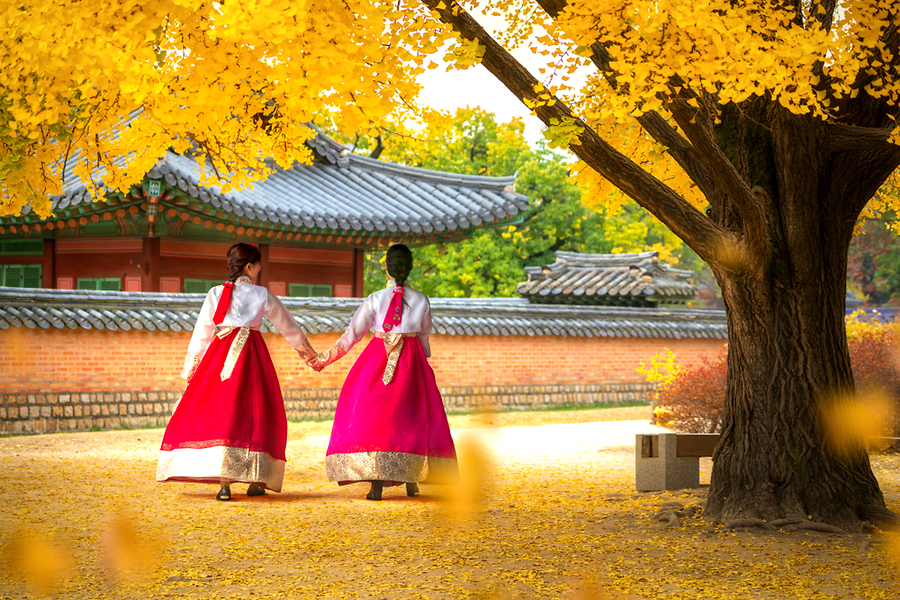 HÀ NỘI – SEORAKSAN - SEOUL -  NAMI – SKY PARK - KIM CHI  SHOW (5N)